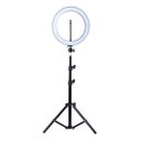 Ver imagem 1 de Ring Light 26 Cm + Tripe Extensivel