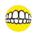 Ver imagem 6 de Kit 12 Brinquedos Borracha Mordedor Corda para Pet Cachorro Dog Variados e Pá para Ração