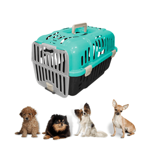 Caixa Transporte Para Cães Gatos Animais Até 6Kg Joy N1 Furacão Pet Caixa de Transporta Joy N1 Verde