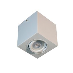 Spot Plafon Sobrepor Beiral Teto Direcionável Acompanha 1 Lâmpada Par20 - 2