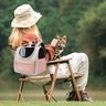 Bolsa Mochila Transporte Gato Pet Cachorro Animais Estimaçao Pequeno Porte Visao Panoramica Viagem P - 9