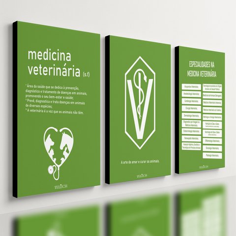 Kit 3 Quadro Decorativo Medicina Veterinária Clinica Quarto 28x20
