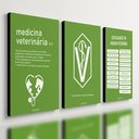 Ver imagem 1 de Kit 3 Quadro Decorativo Medicina Veterinária Clinica Quarto 28x20