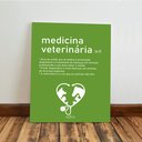 Ver imagem 7 de Kit 3 Quadro Decorativo Medicina Veterinária Clinica Quarto 28x20
