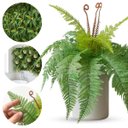 Ver imagem 6 de 7 Buquês de Folhagem Artificial Samambaia 40cm Decoração, Jardins e Paisagismo