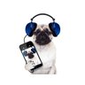 Papel De Parede Animais Pug Fone De Ouvido 3D 7,50M² Anm110 - 2