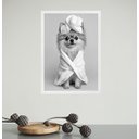 Ver imagem 1 de Quadro para Banheiro Cachorrinha Lulu de Roupão 45x34cm:moldura Branca