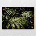 Ver imagem 2 de Quadro Decorativo Planta Costela de Adão Com Moldura e Sem Vidro 100X160