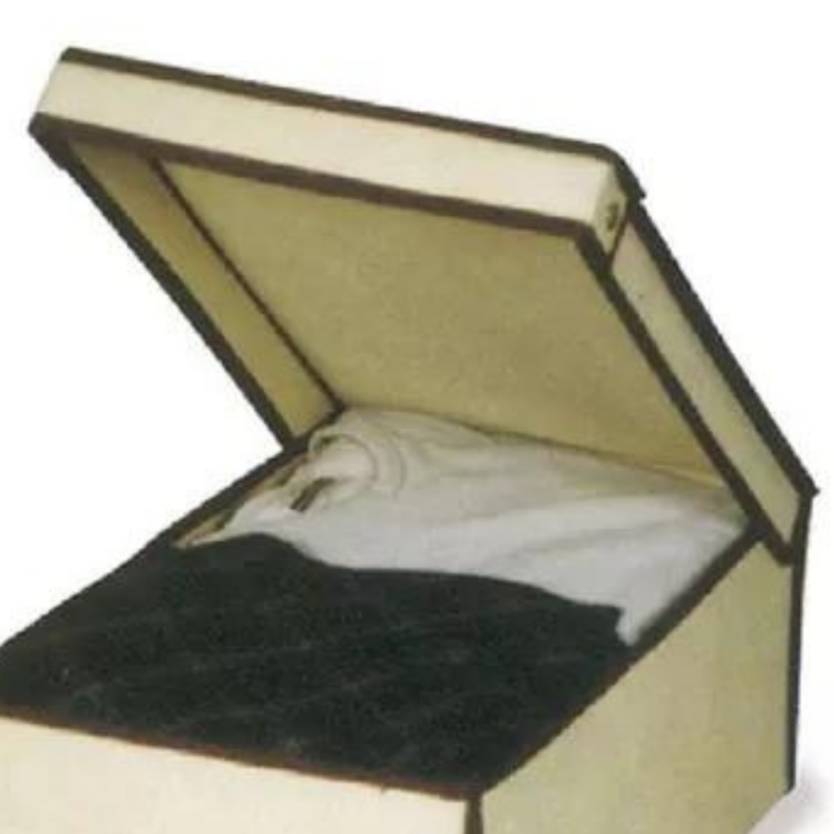 Caixa Organizadora Rígida Casita com Tampa 45x30x20cm 6un Cor:bege - 6