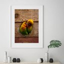 Ver imagem 2 de Quadro Fotografia Casal Passarinhos - 60x48cm:madeira Preta