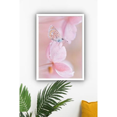 Quadro Decorativo Borboleta Flores Rosa - 70x50cm:moldura Preta