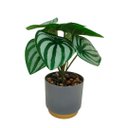 Ver imagem 1 de Arranjo Decorativo Artificial Folhagens com Vaso Cinza e Dourado 16cm Realista