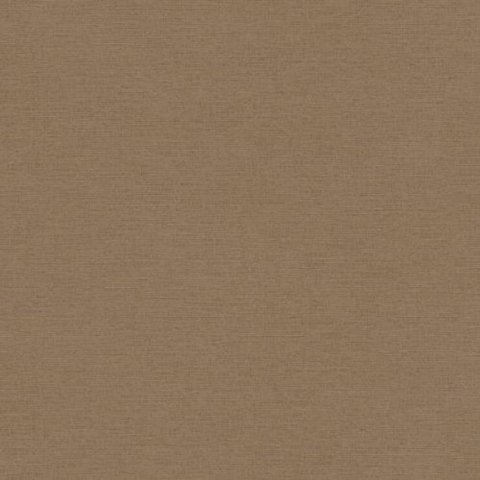 Papel de Parede The Wall 2 Textura Marrom 306892