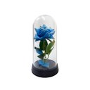 Ver imagem 1 de Linda Redoma com Rosa Vermelha, Inspirada na a Rosa Encantada do Filme a a Bela e a Fera e do o - Az