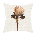 Ver imagem 1 de Capa de Almofada Protea