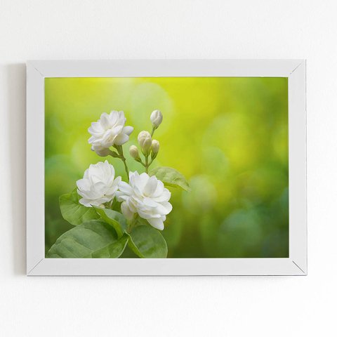 Quadro Jasmim-árabe Flor Branca Moldura Branca 60x40cm