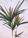 Ver imagem 3 de Planta Artificial Yucca Classic 1,15 Metros de Altura