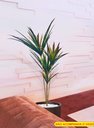 Ver imagem 2 de Planta Artificial Yucca Classic 1,15 Metros de Altura