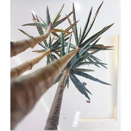 Planta Artificial Yucca Classic 1,15 Metros de Altura - 7