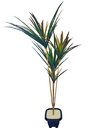 Ver imagem 1 de Planta Artificial Yucca Classic 1,15 Metros de Altura