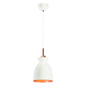 Luminária de Teto Pendente Industrial RPX Trend M3 Moderno E27 Bivolt:Branco/Bivolt - 1