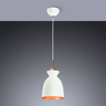 Luminária de Teto Pendente Industrial RPX Trend M3 Moderno E27 Bivolt:Branco/Bivolt - 2