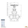 Registro Gaveta 1/2 Padrão Saneamento Nbr 14580 Latão Forjado Niquelado Industrial Ivm Italy - 3