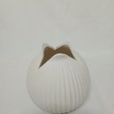 Ver imagem 4 de Vaso Decorativo Enfeite Home&co Cerâmica 15x16x16cm Marfim