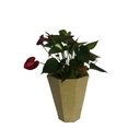 Ver imagem 3 de Vaso Planta 25x23 Oitavado Moderno Polietileno