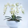 Arranjo de Orquídeas Artificiais Brancas em Vaso Branco Fosco - 1