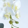 Arranjo de Orquídeas Artificiais Brancas em Vaso Branco Fosco - 2