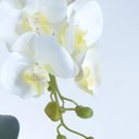 Ver imagem 2 de Arranjo de Orquídeas Artificiais Brancas em Vaso Branco Fosco