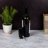 Aerador Decanter e Dispenser para Vinho Automatic Wine - 4