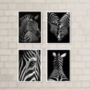 Ver imagem 2 de Kit 4 Quadros Decorativos Zebras 24x18cm - com Vidro:madeira Preta