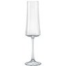 Jogo de 6 Taças para Champanhe em Cristal Ecológico Xtra 210ml - Bohemia - 2