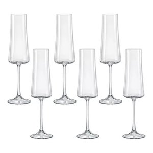 Jogo de 6 Taças para Champanhe em Cristal Ecológico Xtra 210ml - Bohemia