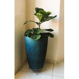 Suporte Rasteiro P/ Vaso de Planta de Chão 26cm X 8cm - 7