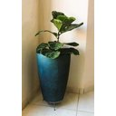 Ver imagem 7 de Suporte Rasteiro P/ Vaso de Planta de Chão 26cm X 8cm