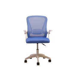 Cadeira Giratória Ergonômica Tela Mesh com Braços Articulados W-15:branca C/ Azul - 2