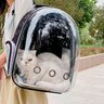 Mochila Pet Transporte Gato Cachorro Coelho Passeio Cao Visao Panoramica 360 Passeio Viagem - 6