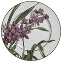 Ver imagem 1 de Conjunto com 6 Pratos Raso Orquídeas Ø29cm Alleanza Cerâmica