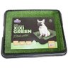 Tapete Higiênico Sanitário Pet Hig Xixi Green Black Edition - 1