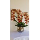 Ver imagem 1 de Arranjo Orquídeas Pintadinhas 3 Hastes - folhagens em vaso vidro espelhado dourado