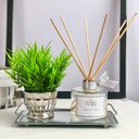 Ver imagem 3 de Difusor de Ambiente Cascas e Folhas 240ml