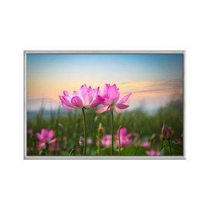 Quadro Decorativo - Flor de Lotus Rosa Ao por do Sol Flnt021 - Vidro com Impressão Uv - 60x40cm
