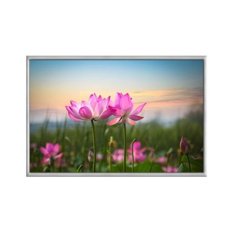 Quadro Decorativo - Flor de Lotus Rosa Ao por do Sol Flnt021 - Vidro com Impressão Uv - 60x40cm