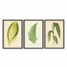 Quadro Decorativo Moldura Folhagens Verde 44x64cm - Kit 3Un - 1