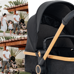 Carrinho de Bebe Moises com Bebe Conforto Galzerano Ivy Gold - 4