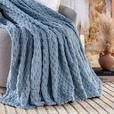 Ver imagem 4 de Cobertor Manta Confy Ultrasoft Flannel Queen 2,40m X 2,20m Texturizado 01 Peça - Mirtilo Azul