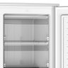 Freezer Vertical Eos 100 Litros Ecogelo Efv100 110v - 3
